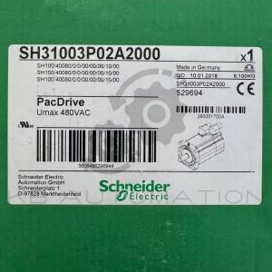 SH31003P02A2000-photo